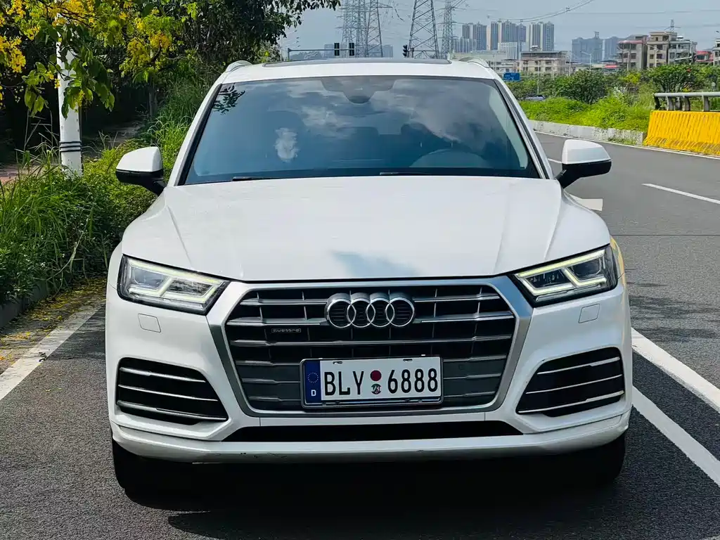 Audi Q5L 2019