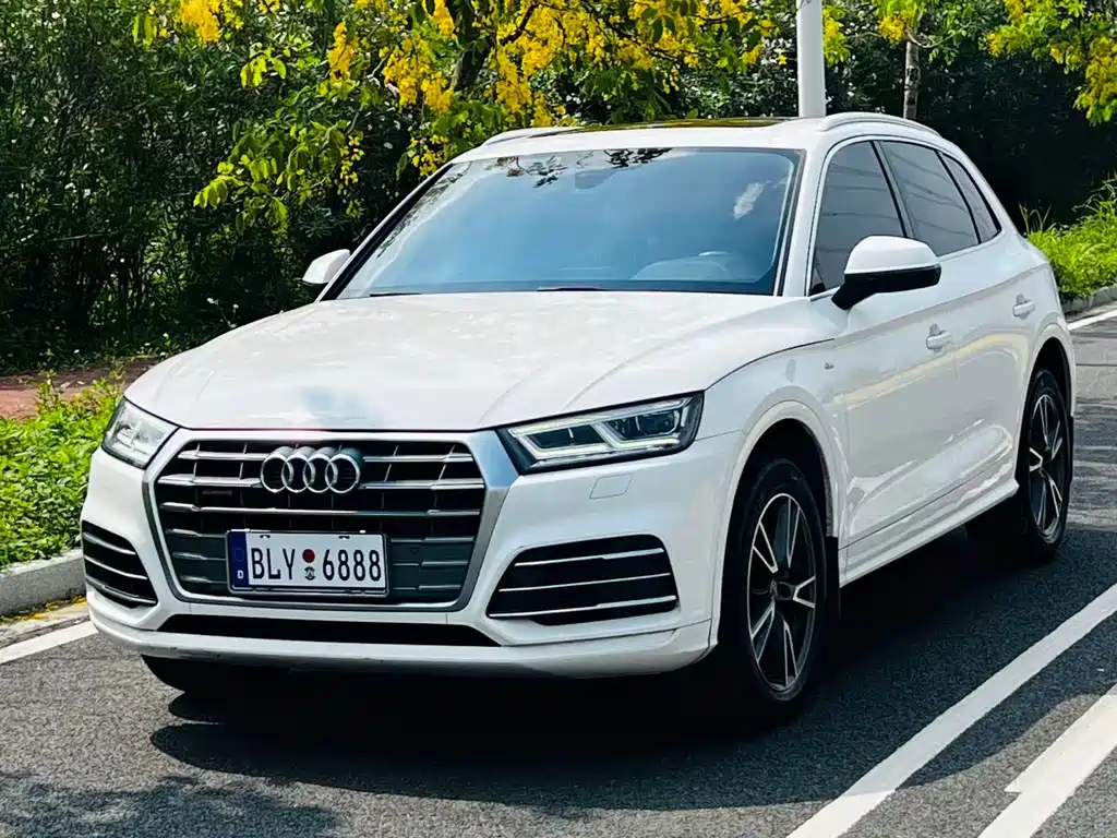 Audi Q5L 2019