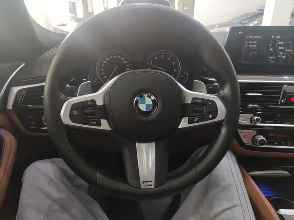 BMW 5 Series 2018 — фото 11