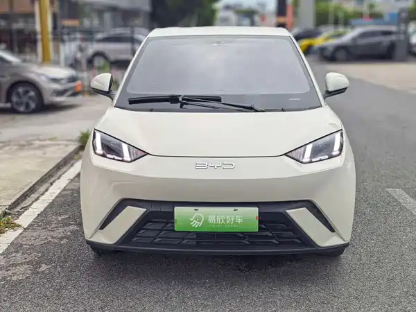 BYD Seagull 2024