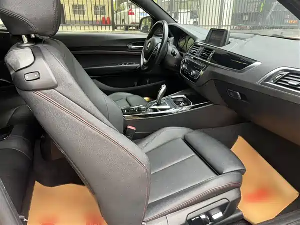 BMW 2 Series 2019