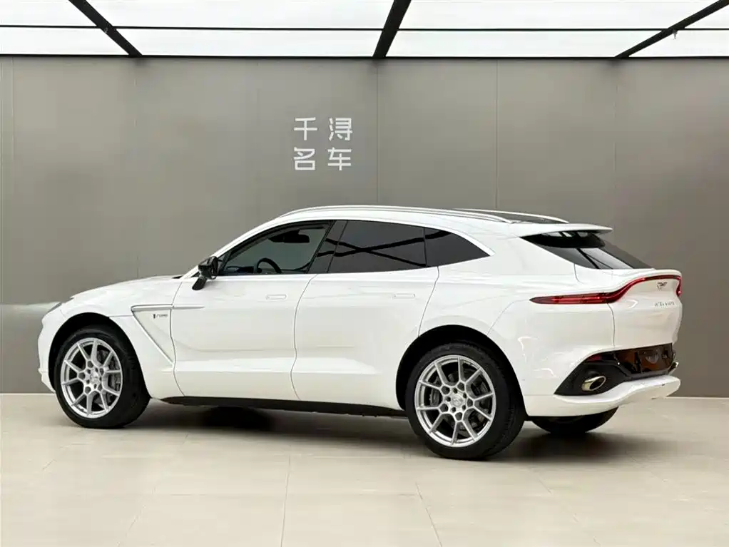 Aston Martin DBX 2021 — фото 15