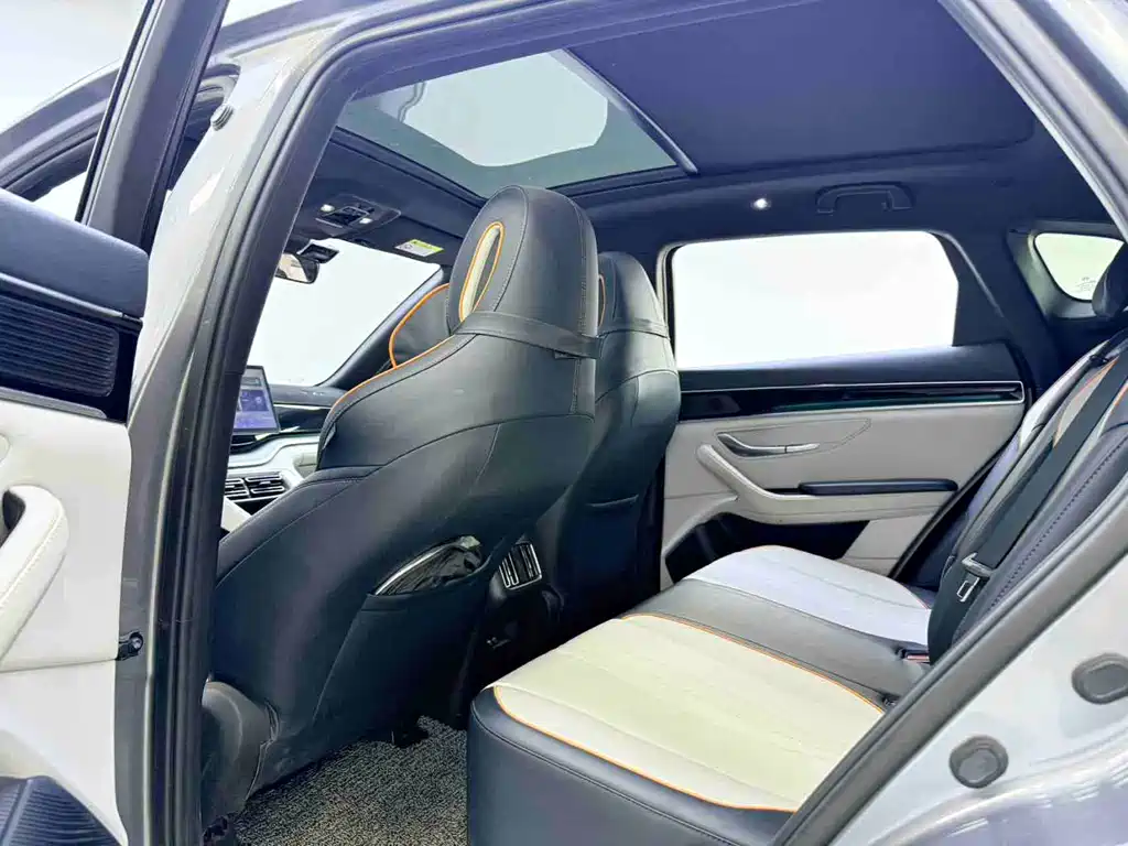 BYD PLUS New Energy 2022 — фото 6