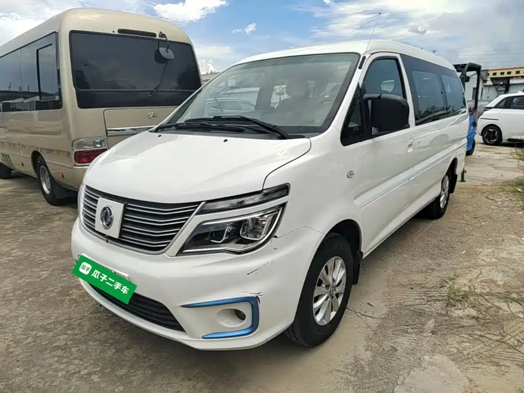 Dongfeng Lingzhi New Energy 2021