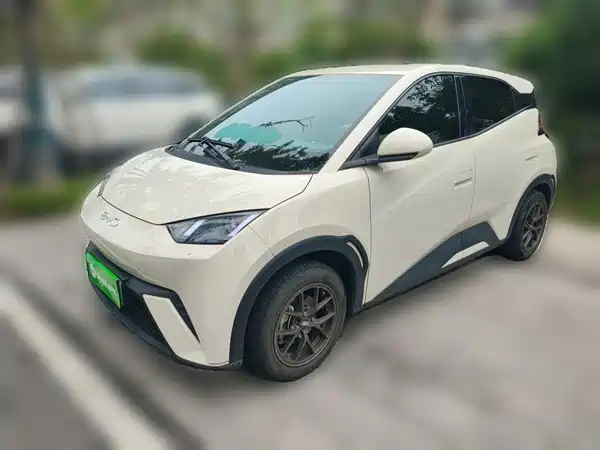 BYD Seagull 2024