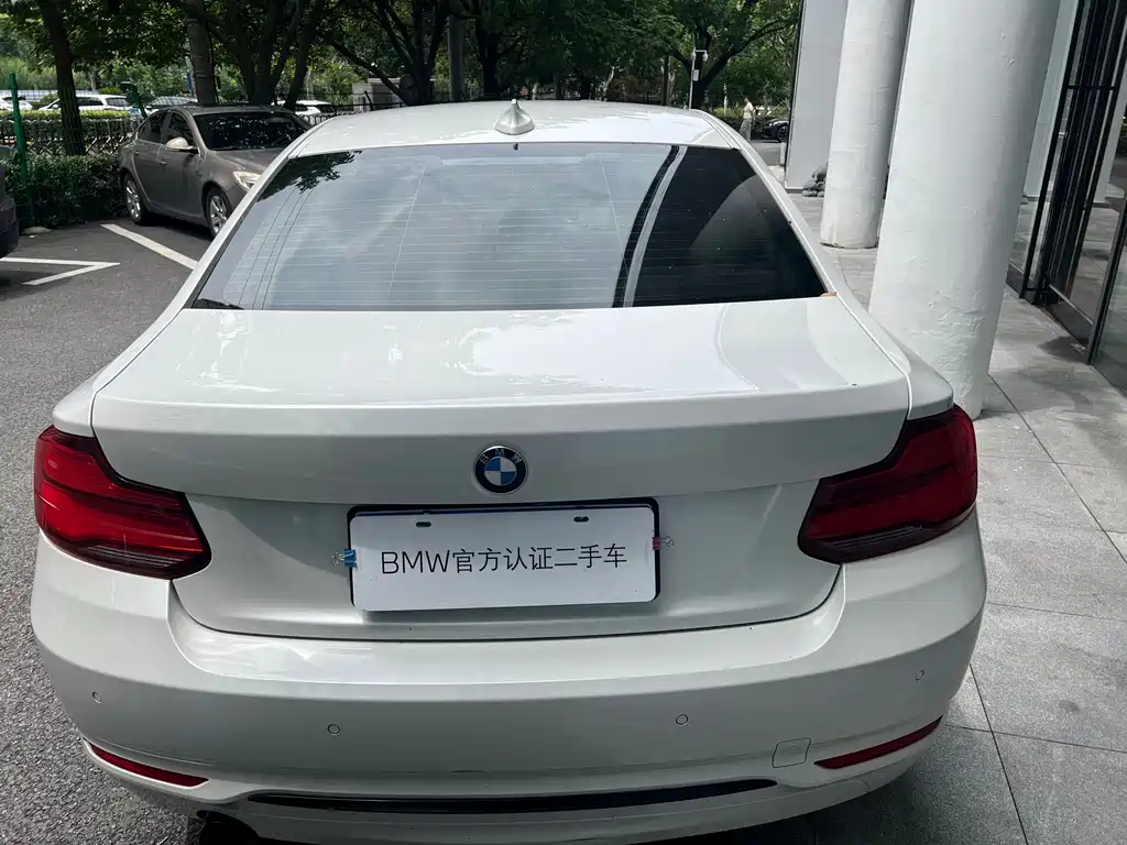 BMW 2 Series 2019