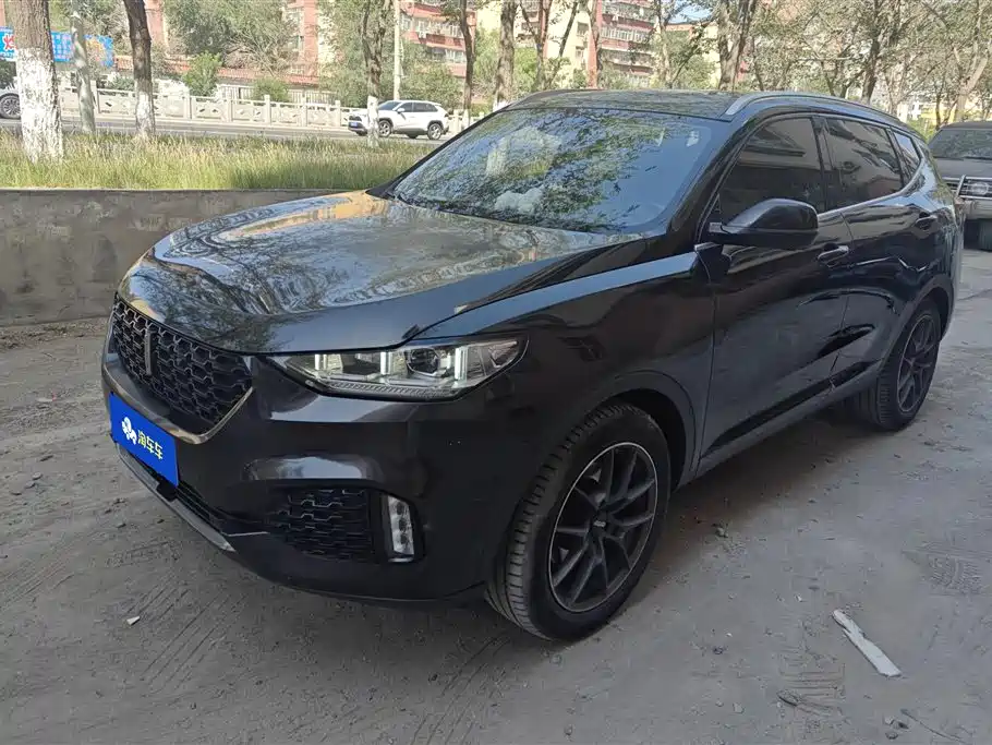 Wey VV6 2019