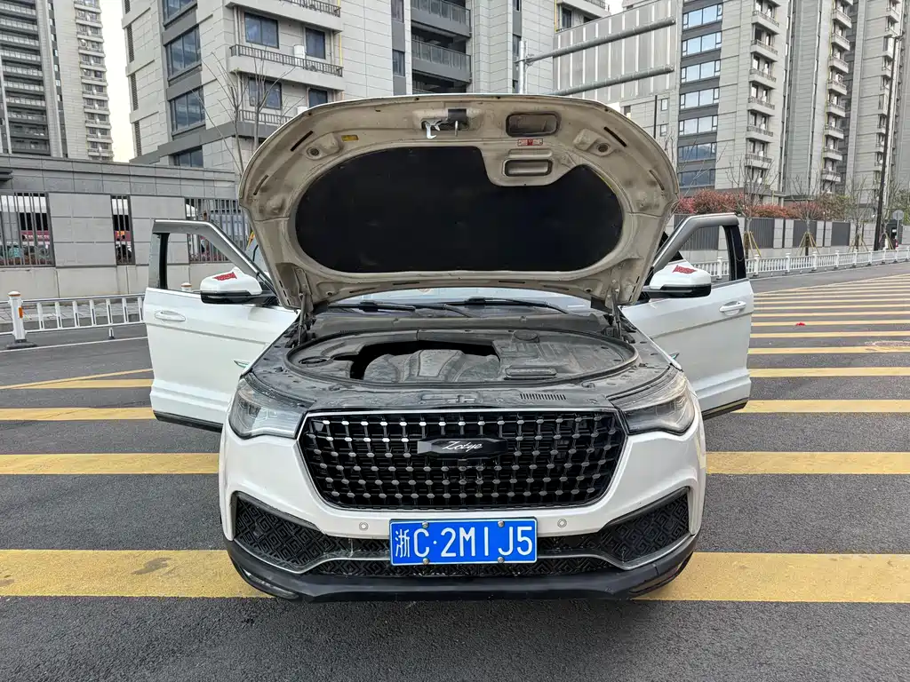 Zotye T700 2017 — фото 16