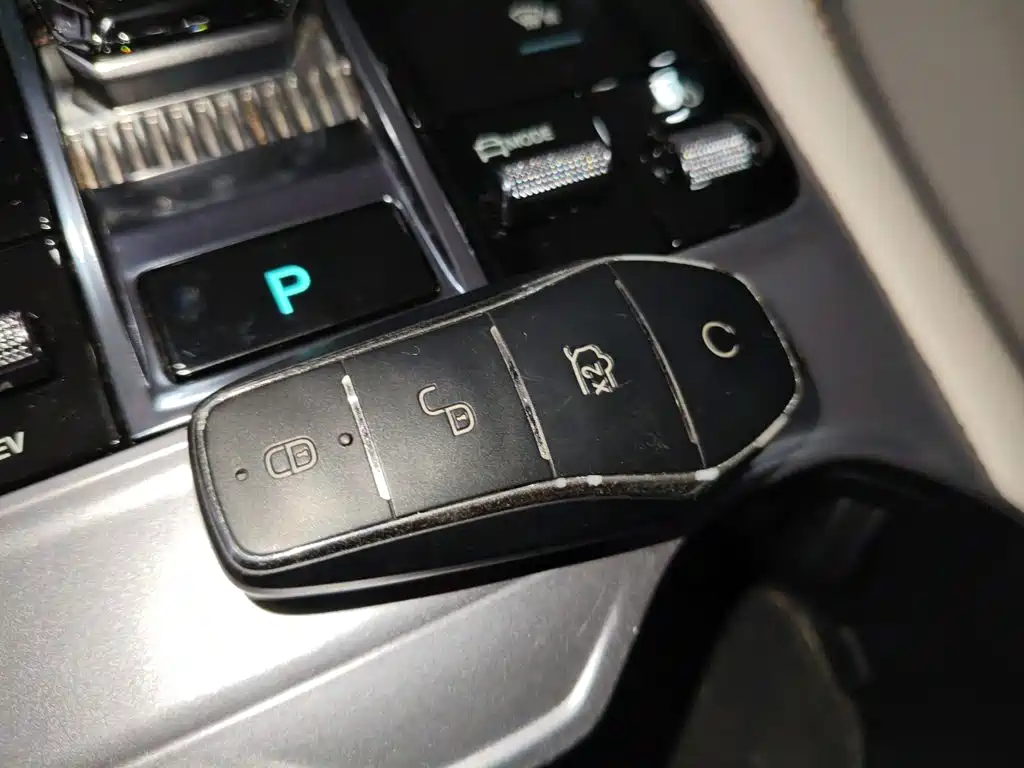 BYD Song PLUS New Energy 2024 — фото 17
