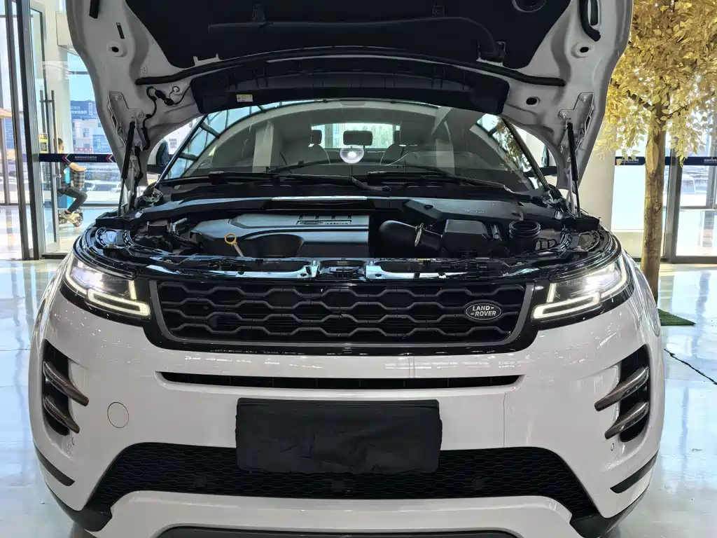 Land Rover Range Rover Evoque 2020 — фото 18