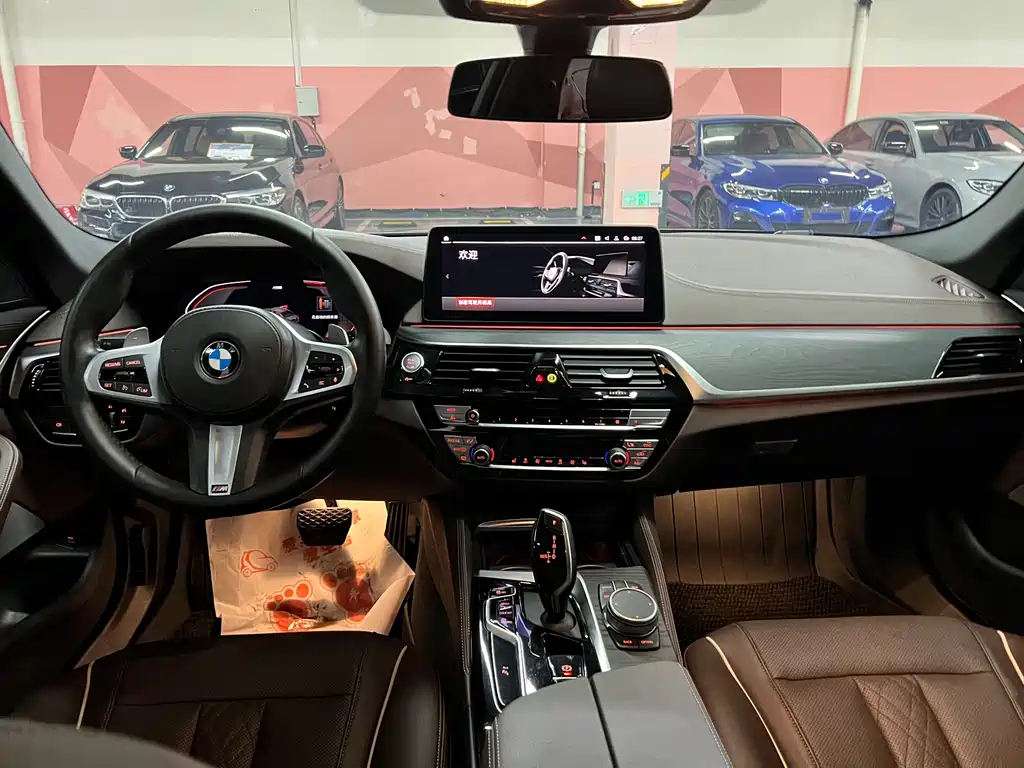 BMW 5 Series 2021