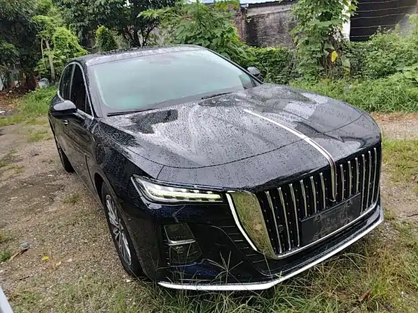 Hongqi H5 2022
