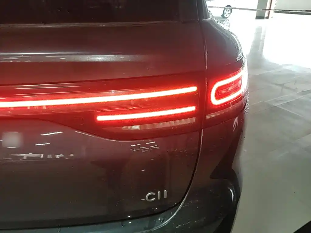 Leapmotor C11 2023 — фото 8