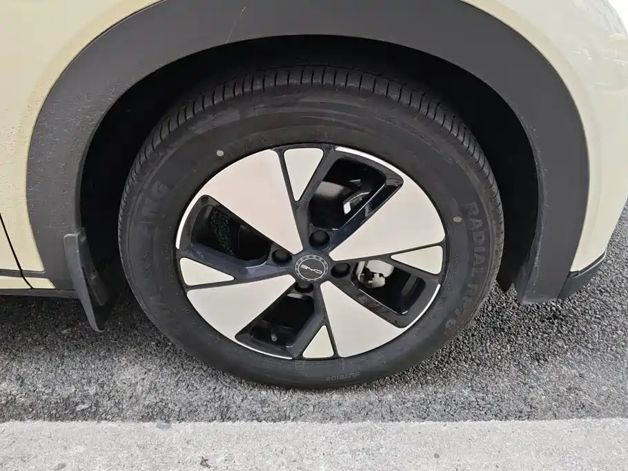 BYD Dolphin 2024