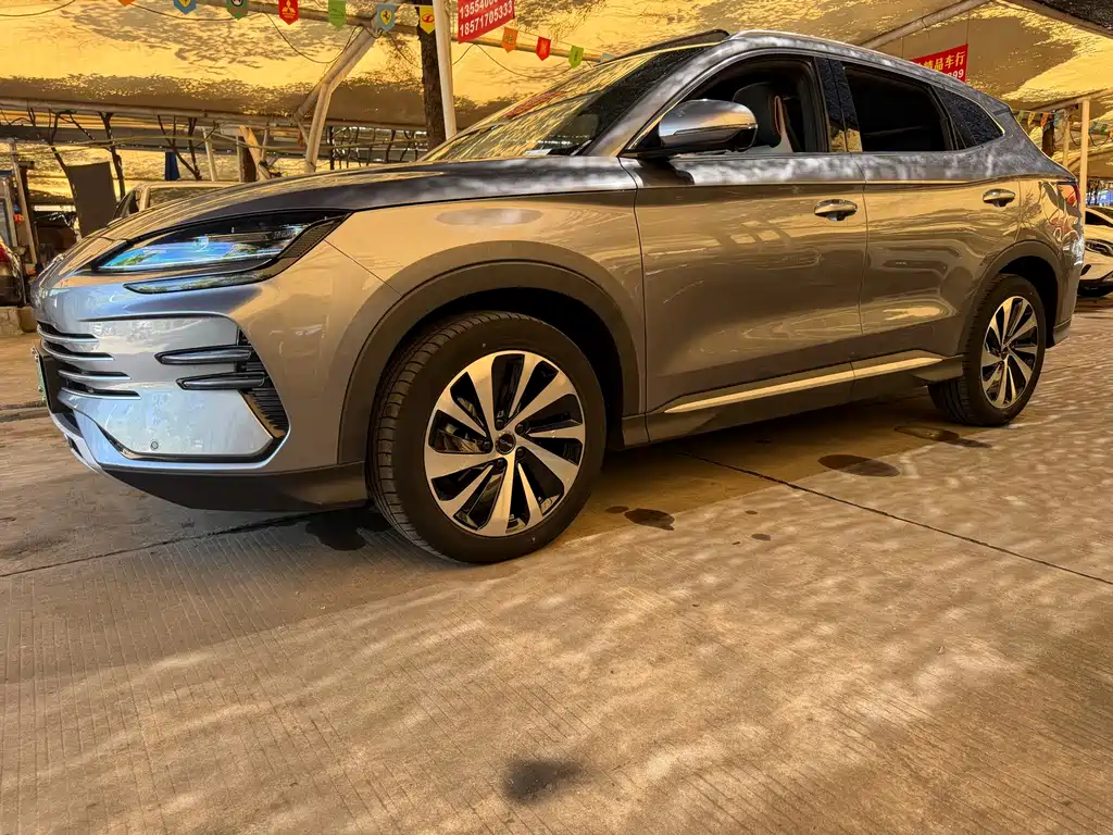 BYD Song PLUS New Energy 2024 — фото 3