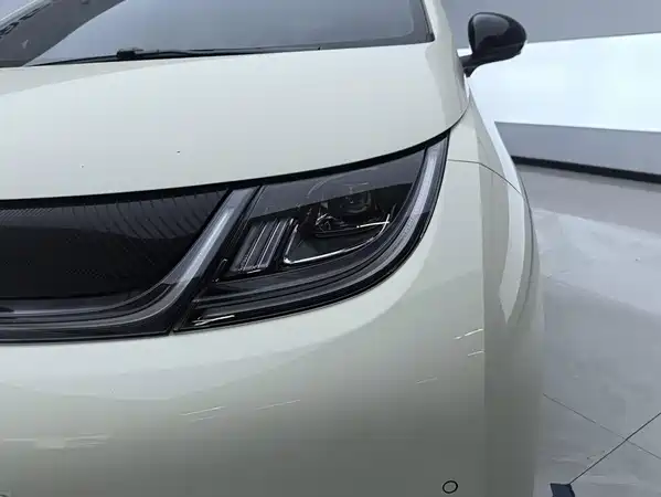 BYD Dolphin 2023
