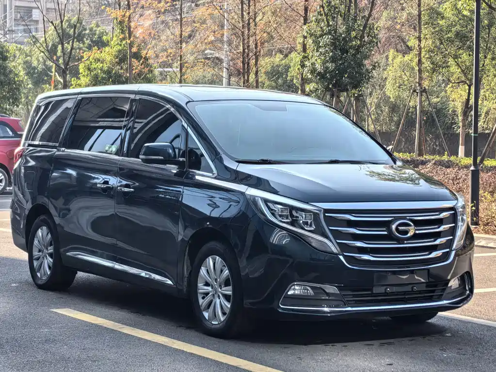 GAC Motor Trumpchi M8 2018 — фото 3