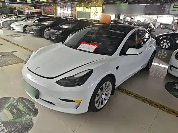 Tesla Model 3 2021