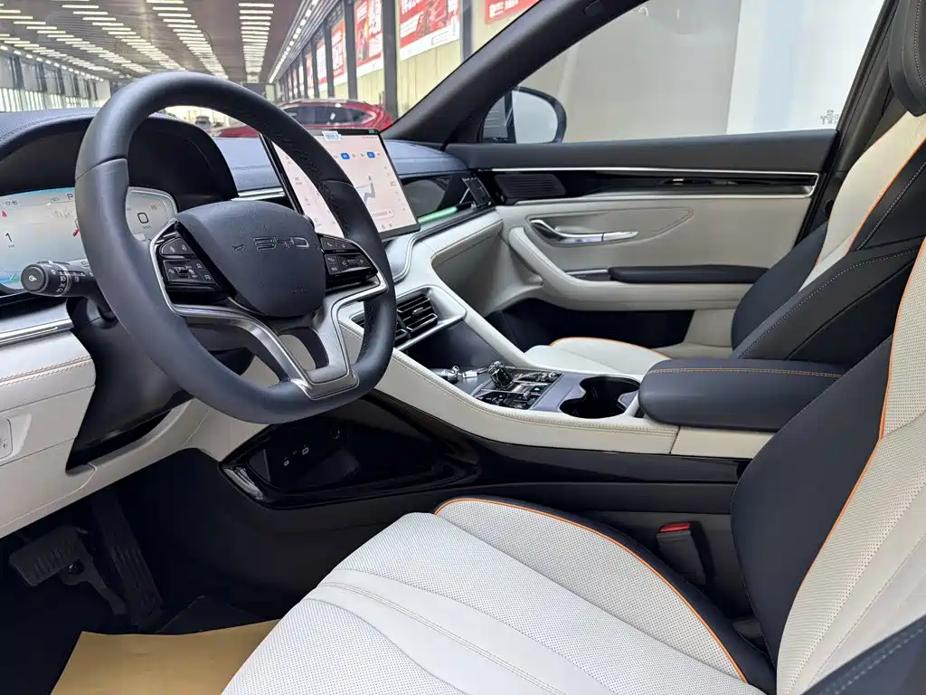 BYD Song PLUS New Energy 2024 — фото 11