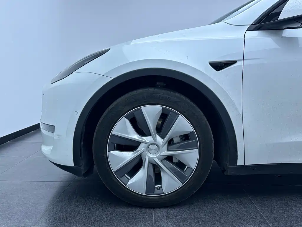 Tesla Model Y 2021 — фото 12