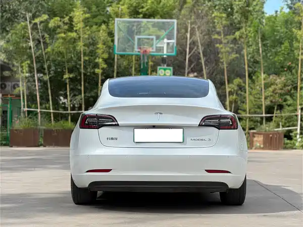 Tesla Model 3 2020