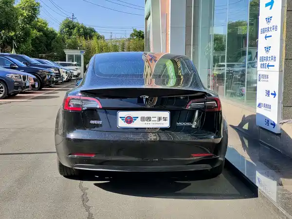 Tesla Model 3 2021