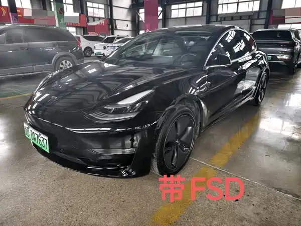 Tesla Model 3 2019