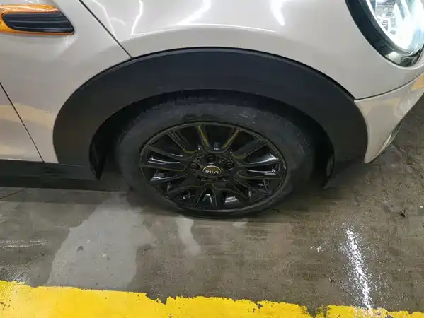 MINI 2019