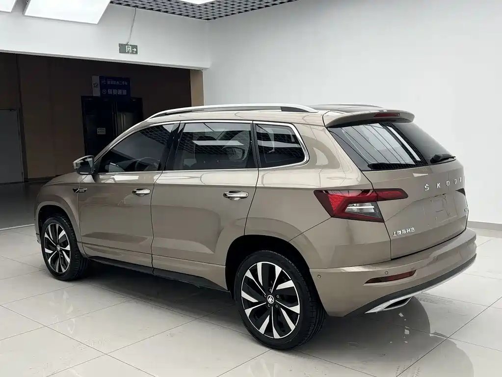 Skoda Karoq 2023 — фото 6