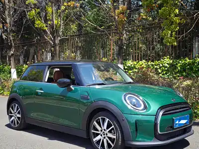 MINI MINI 2022