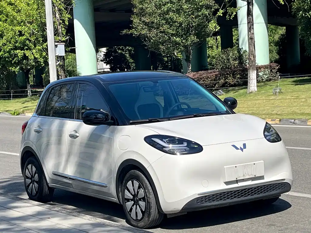 Wuling Bingo 2025