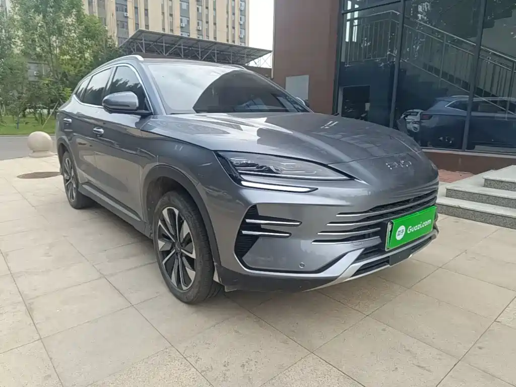 BYD Song PLUS New Energy 2024 — фото 4