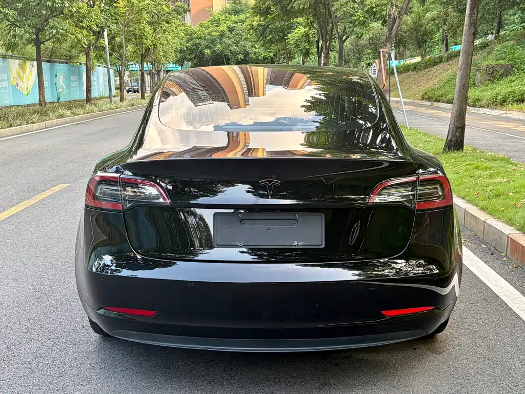 Tesla Model 3 2020 — фото 8