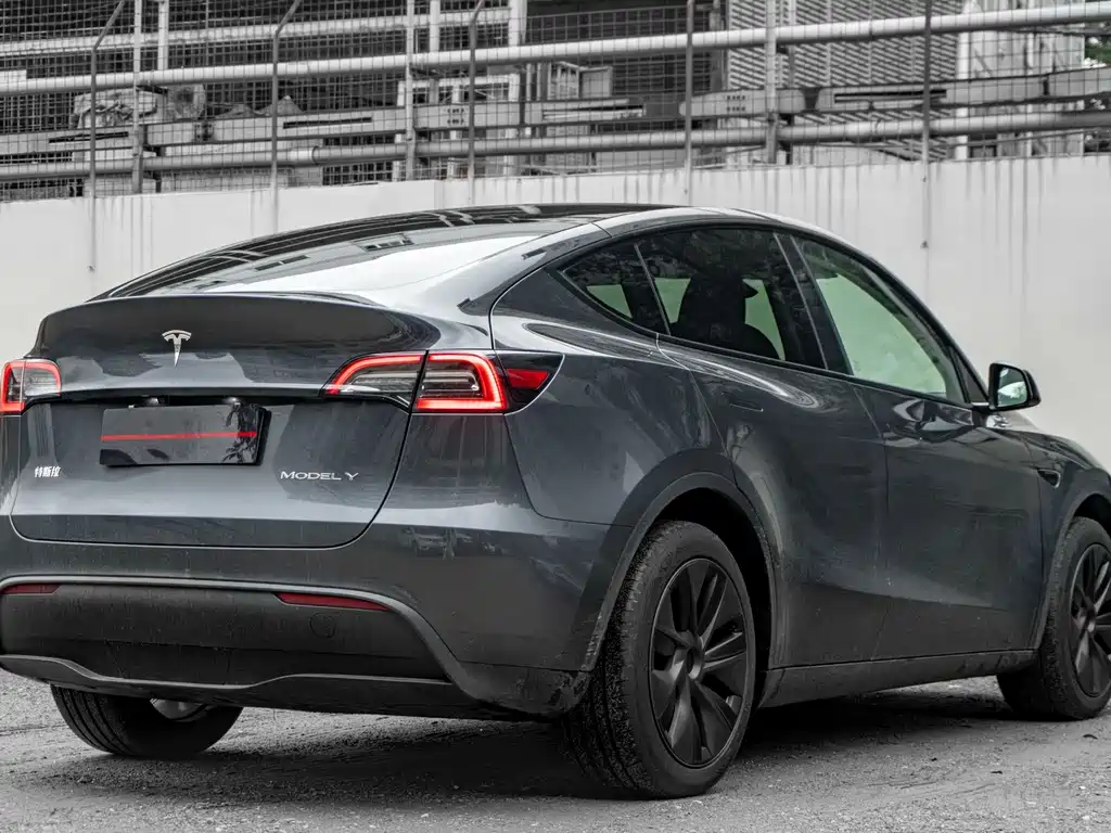 Tesla Model Y 2024 — фото 12