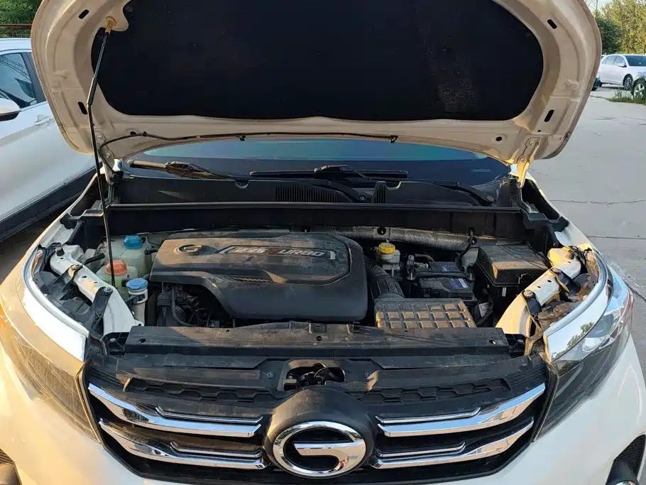GAC Trumpchi GS3 2019 — фото 10