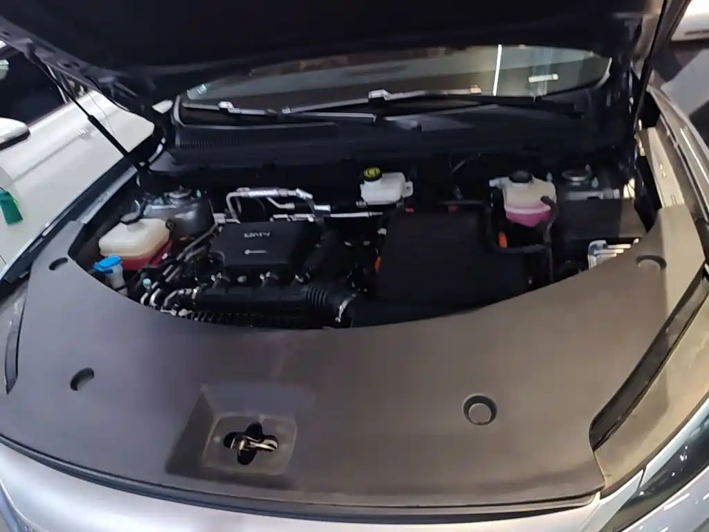 BYD Song Pro New Energy 2025 — фото 20