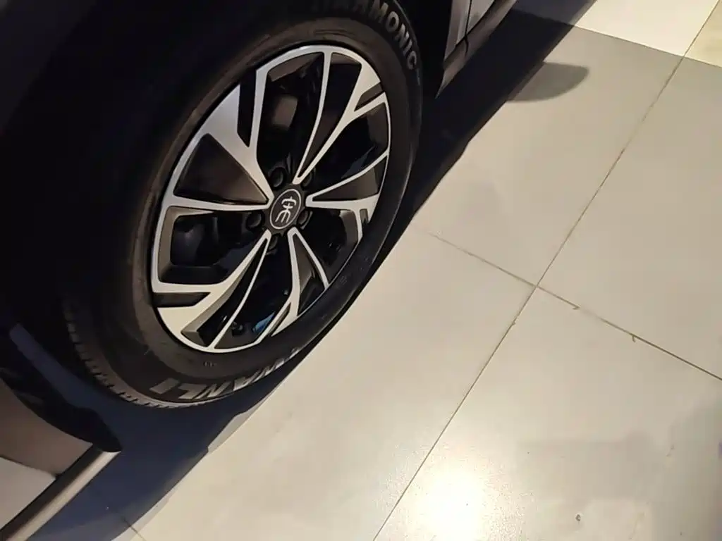 BYD Song Pro New Energy 2025 — фото 23
