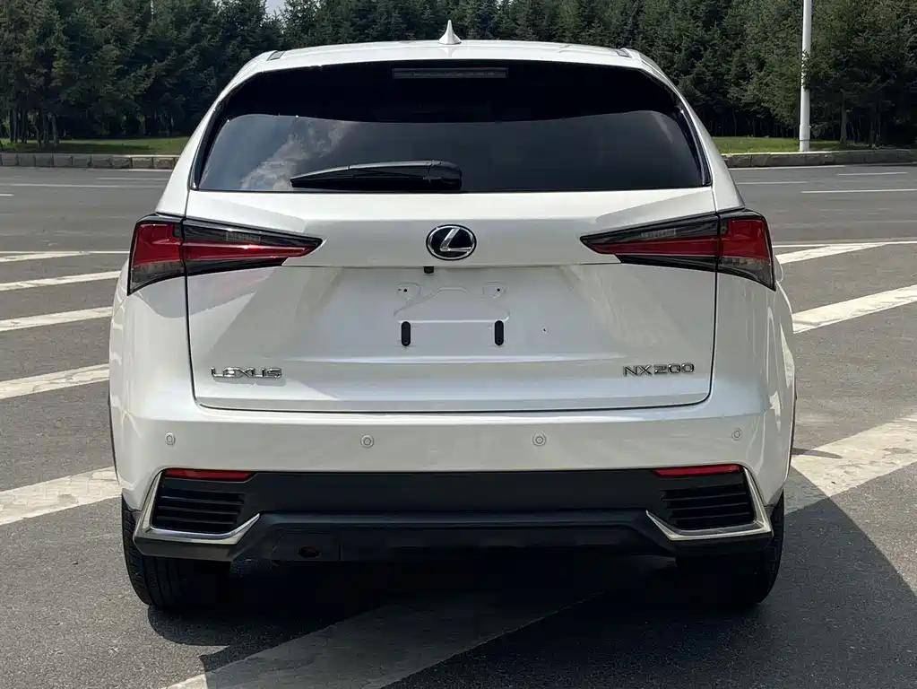 Lexus NX 2020 — фото 14