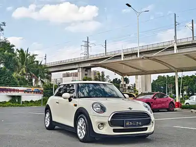 MINI MINI 2018