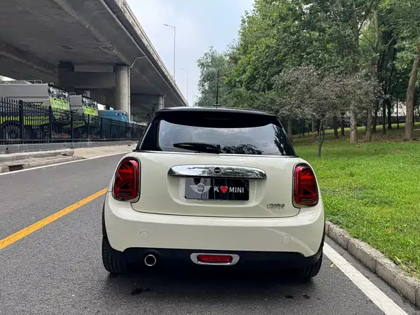 MINI 2019