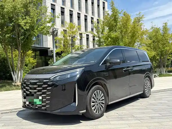 BYD Summer 2025