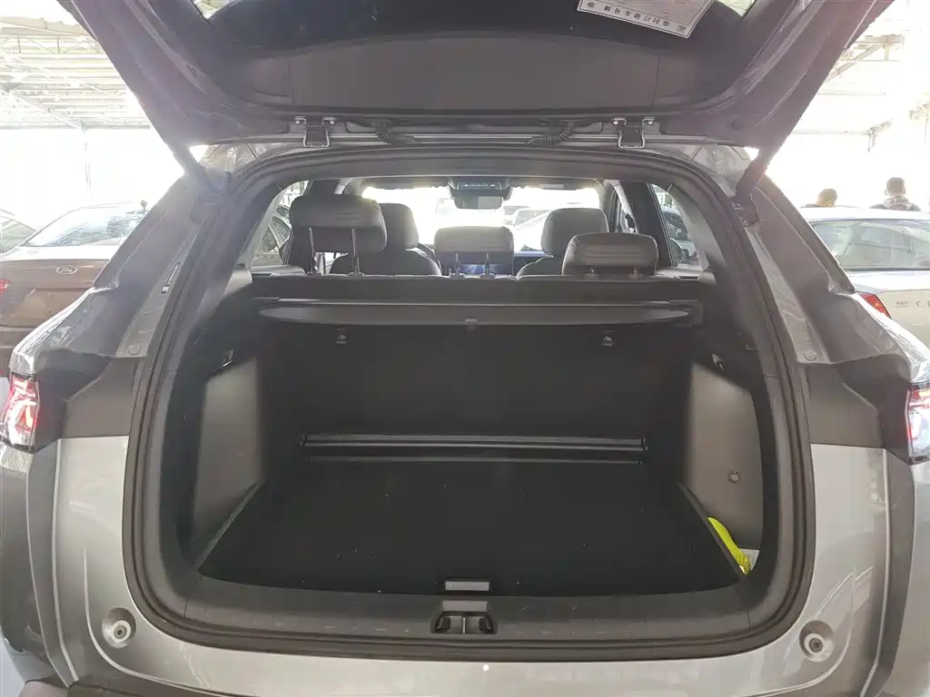 BYD L DM-i 2025 — фото 19