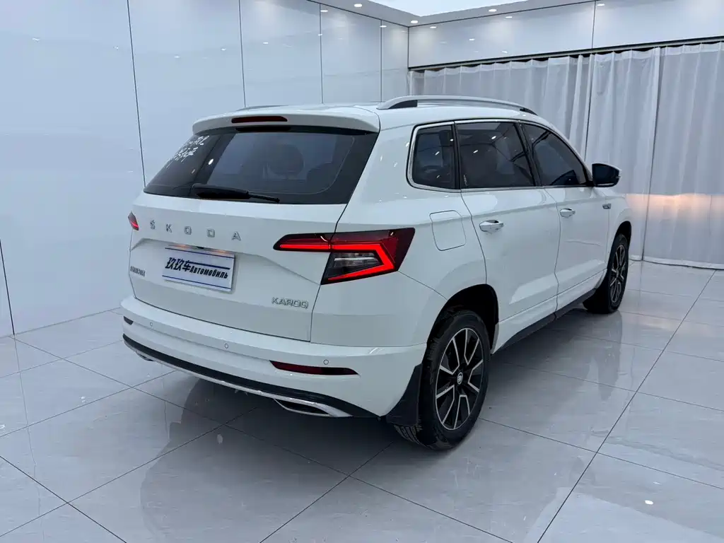 Skoda Karoq 2022 — фото 4
