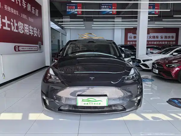 Tesla Model Y 2024