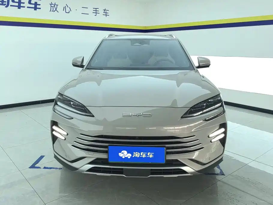 BYD Song PLUS New Energy 2024 — фото 2