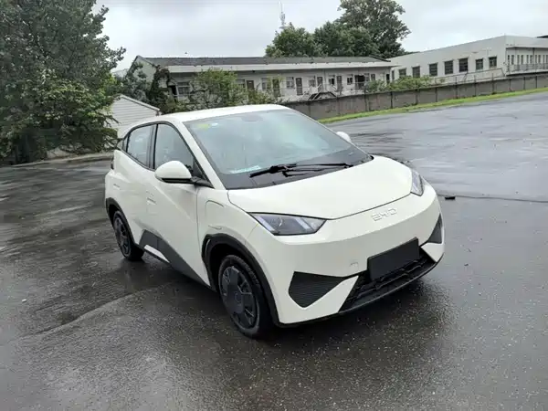 BYD Seagull 2026