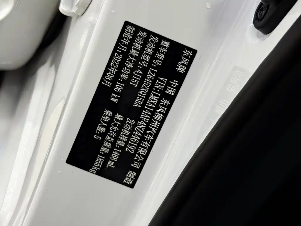 Fengxing T5 2023
