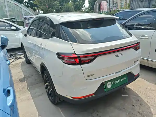 Neta AYA 2024