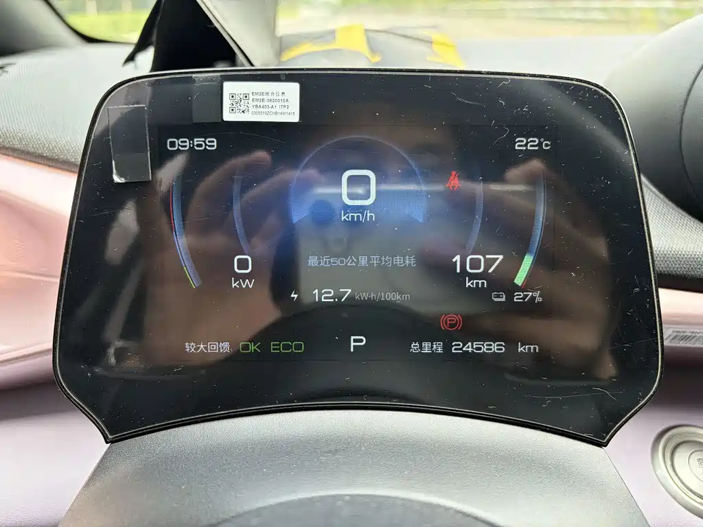 BYD Dolphin 2021