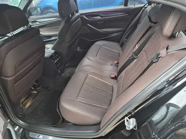 BMW 5 Series New Energy 2020